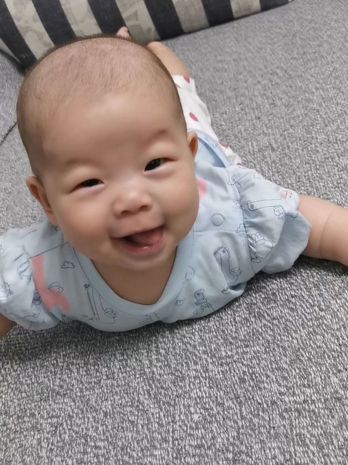 歌瑞家女童裙装