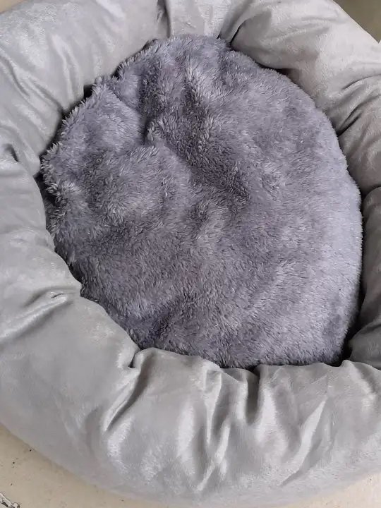 网红蛋挞猫窝