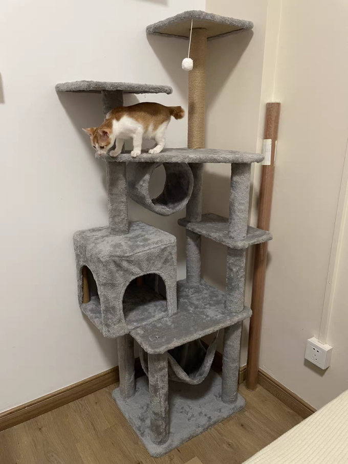 宠袋猫咪服饰