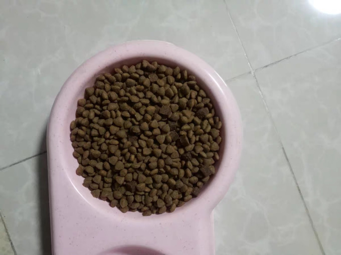 疯狂小狗狗粮