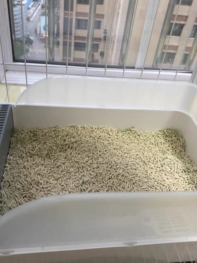 彼诞猫砂