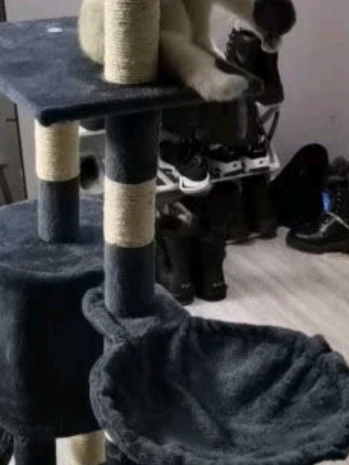 迪普尔猫玩具
