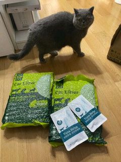 铲屎官每个月都要买的耐威克绿茶豆腐猫砂