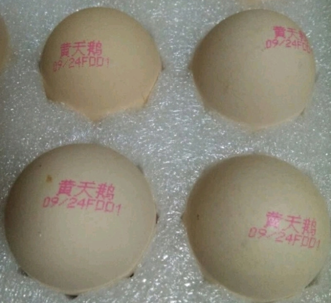黄天鹅蛋类
