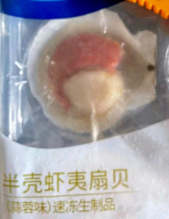 半壳扇贝