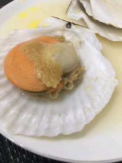 半壳扇贝