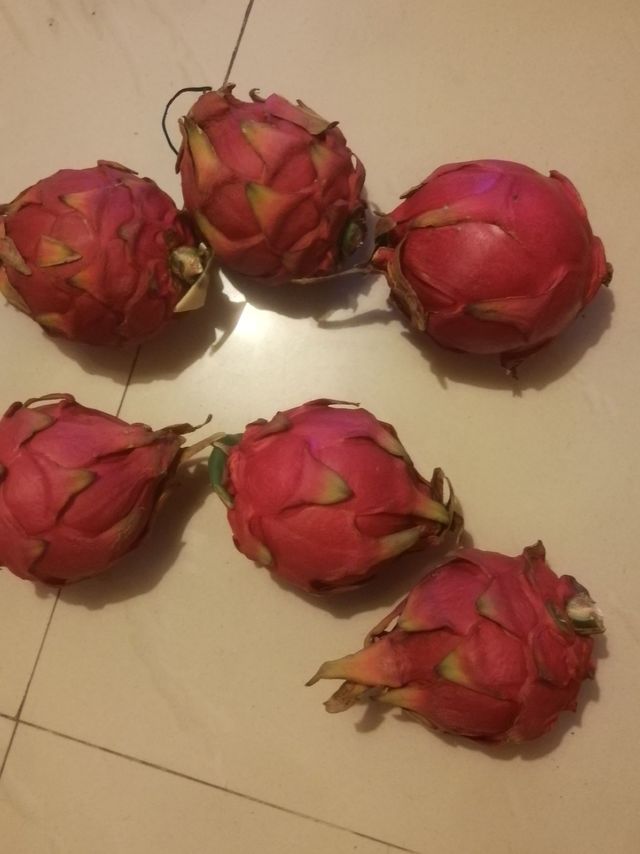 老太太脸少女心的火龙果