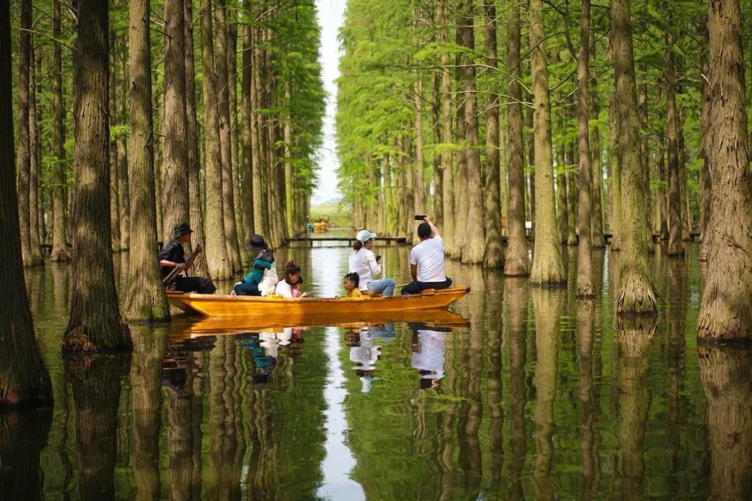 湿地如今已成为越来越多人出游的目的地选择，图为扬州渌洋湖湿地公园 ©新华社