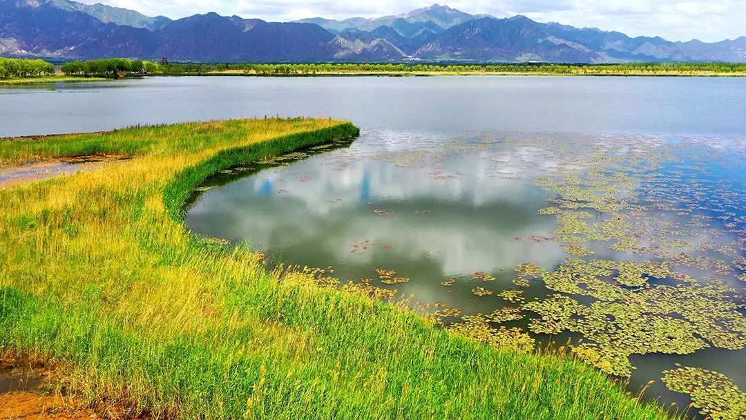 野鸭湖国家湿地公园，也是北京的首个国家湿地公园 ©图虫创意