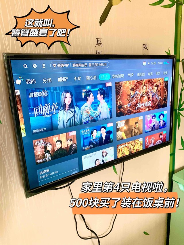 为了吃饭时有电视看，我花500巨款买一只