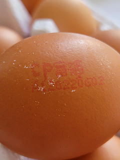 国内也能买到高品质可生食鸡蛋，拌饭无敌！