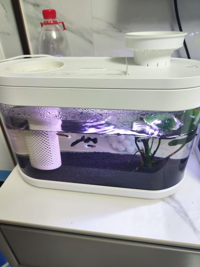 给生活添点乐趣