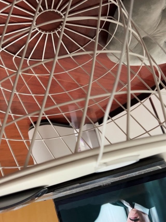 结实稳定性：很好特别喜欢百搭