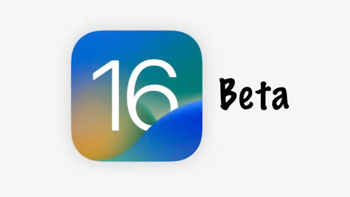 iOS 16 新测试版中增加了自动验证功能