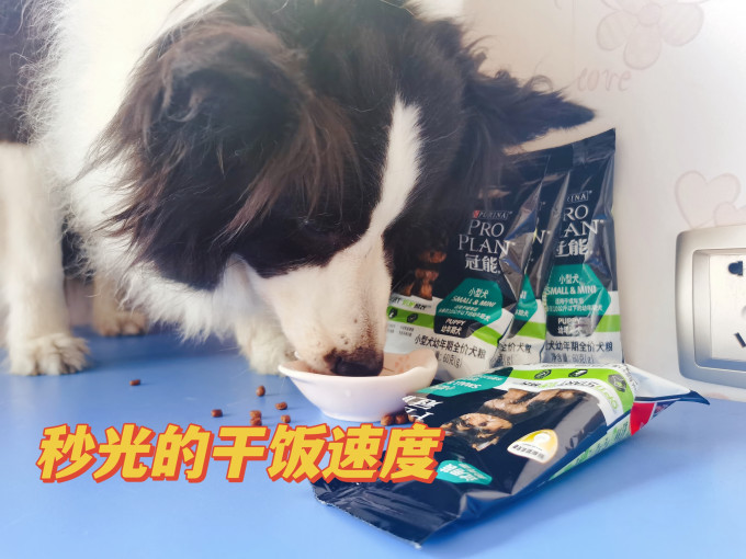 冠能狗粮