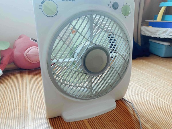 一张毛爷爷，单身过夏天