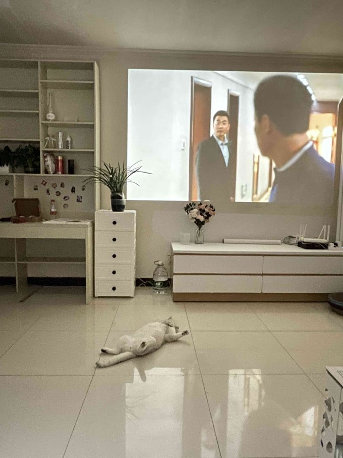 极米投影投影仪