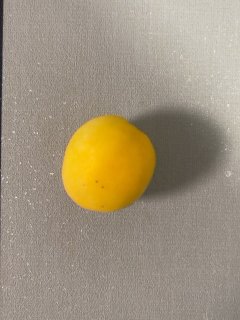 水分充足的新疆小白杏