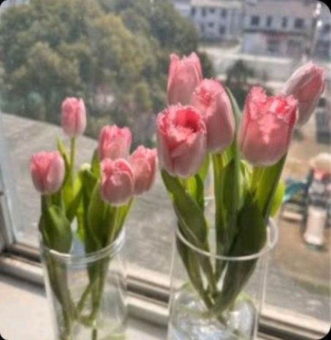 盛世泰堡花瓶花器
