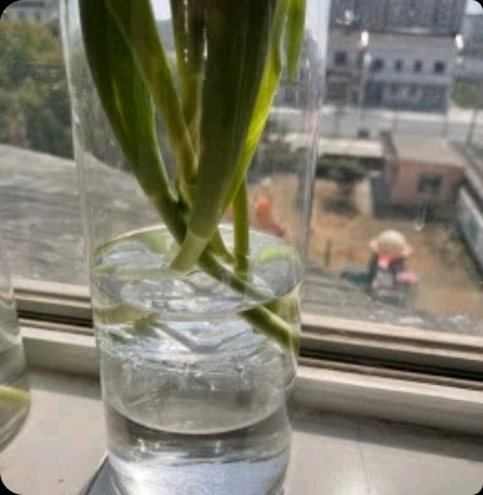 盛世泰堡花瓶花器