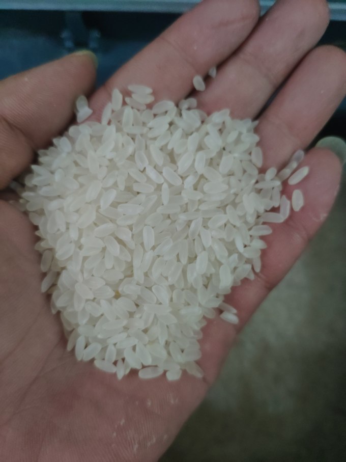 裕道府大米