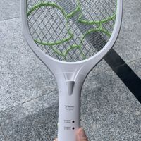 苍蝇虽小，但一样有美拉德反应啊