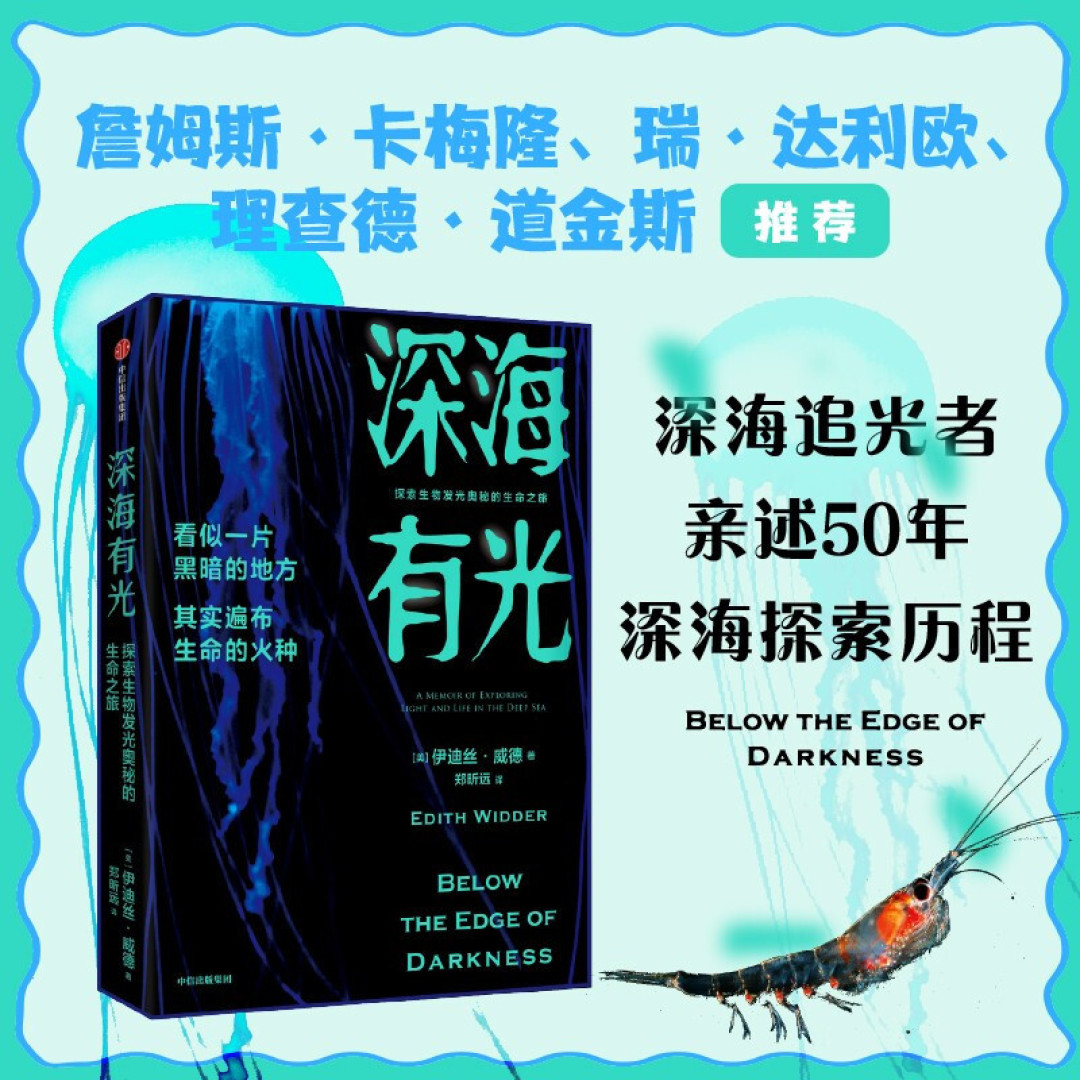 写给星期五早上不听海的人