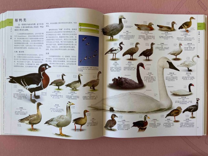 中国科学技术出版社少儿读物