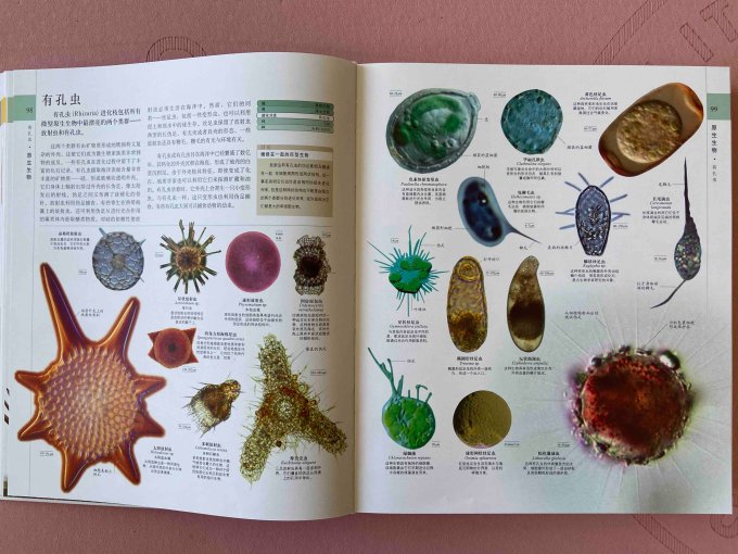 中国科学技术出版社少儿读物