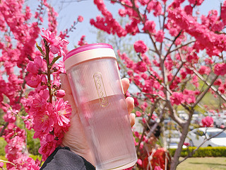 摩飞无线充电榨汁机，把春天的味道留在杯中