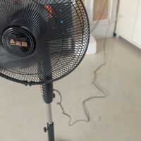 夏天就要有志高风扇
