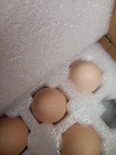 鸡蛋是最简单的，又是最多花样的，1.6元