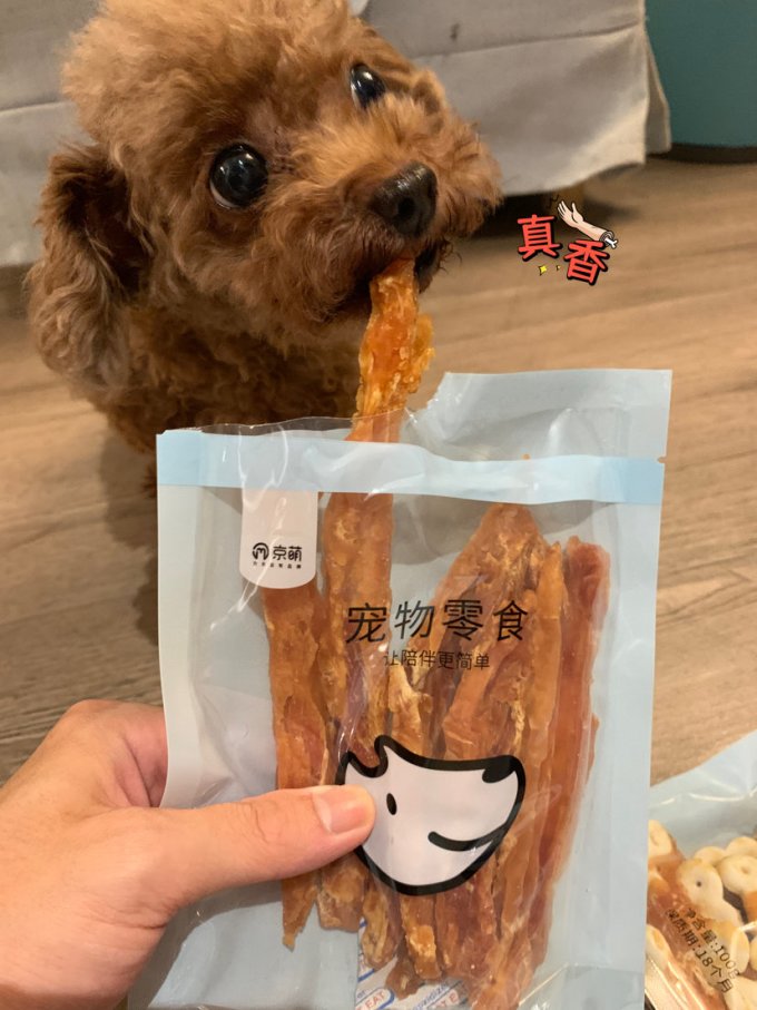 猫咪磨牙洁齿