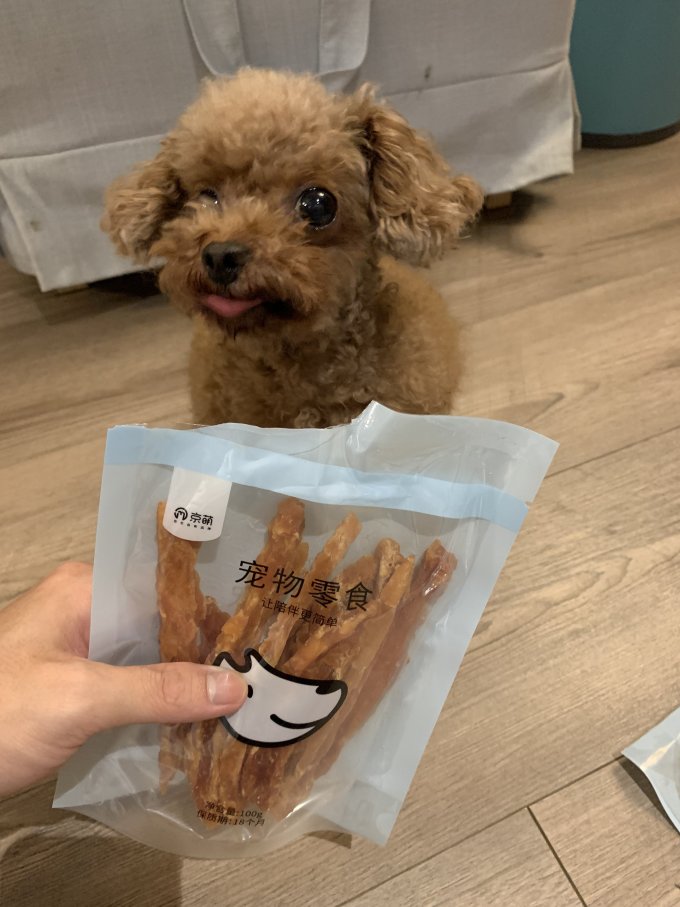 猫咪磨牙洁齿