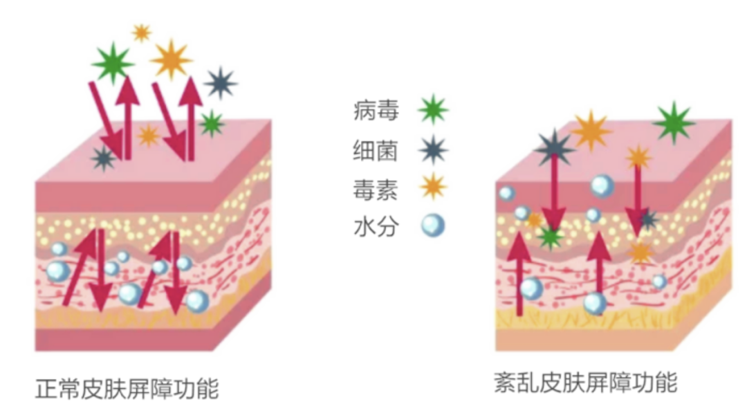 每天都逃不了的“脸蒸桑拿”,你的脸还好吗?夏季面部降温还得用这些!