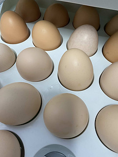 白piao的鸡蛋谁不爱