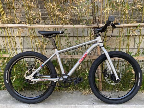 飞鱼儿童自行车