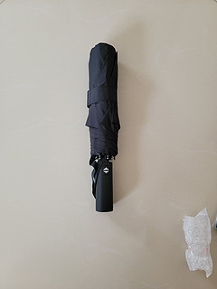 露营必备雨伞——三十块的京造雨伞 太香了