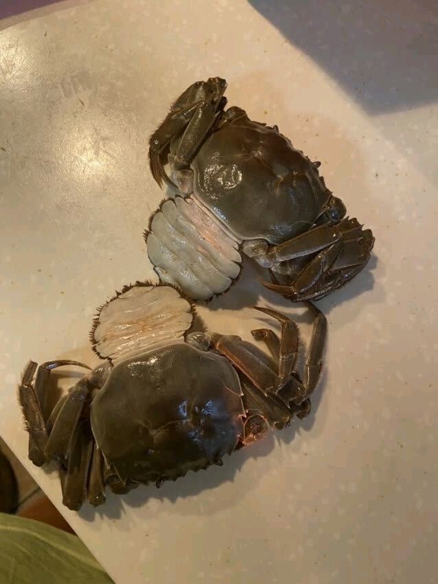 神行大闸蟹