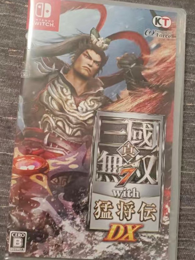 switch玩玩无双也还行