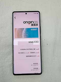 蔡司标加成的vivo x80