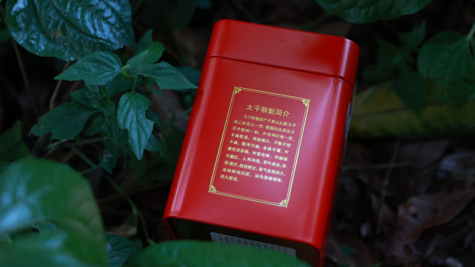 绿满堂茶类