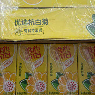 清凉解暑的菊花茶