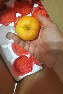 大大的桃