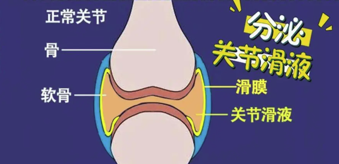 健身时关节“咔咔”响,还可以继续训练吗?
