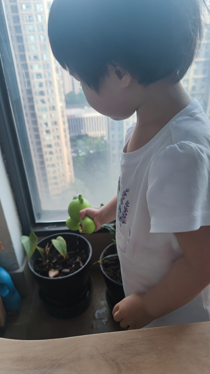 致仕其他健身玩具