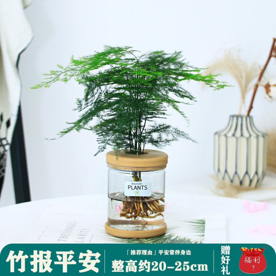 夏日居家清凉好物,请收下这份实用感爆棚的平价生活好物清单