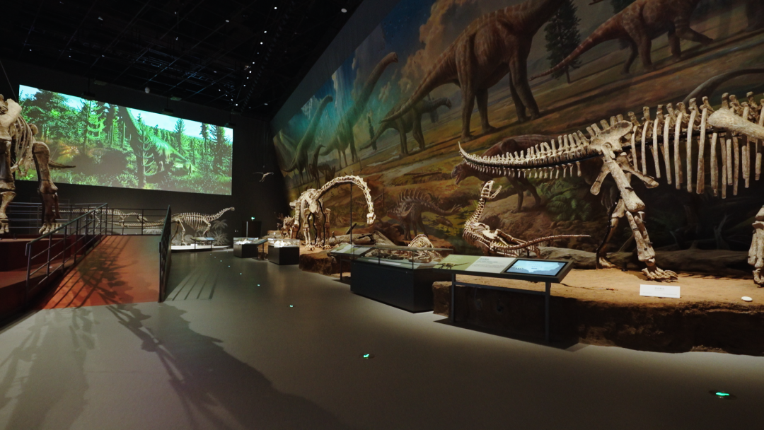 成华大道再翻红，成都自然博物馆开馆在即，打卡亚洲最大恐龙化石（全攻略）