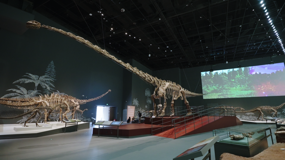 成华大道再翻红，成都自然博物馆开馆在即，打卡亚洲最大恐龙化石（全攻略）