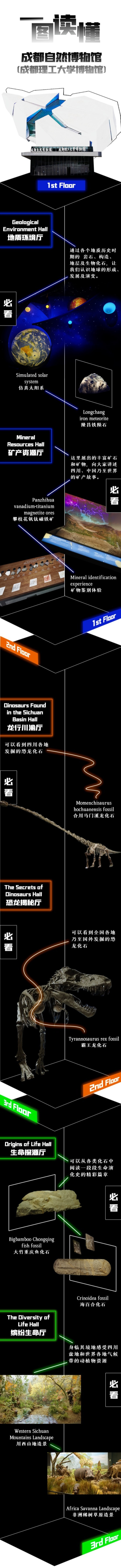 成华大道再翻红，成都自然博物馆开馆在即，打卡亚洲最大恐龙化石（全攻略）